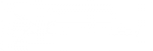 GooglePlay-white-inactive